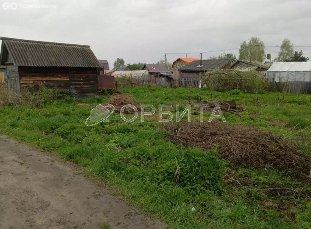 Участок в Тюмень, СНТ Ягодное, Ягодная улица (4.12 м) - Фото 1