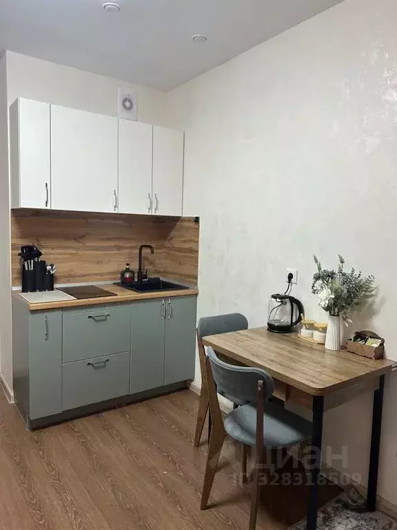 Студия Санкт-Петербург бул. Александра Грина, 1 (20.0 м) - Фото 2