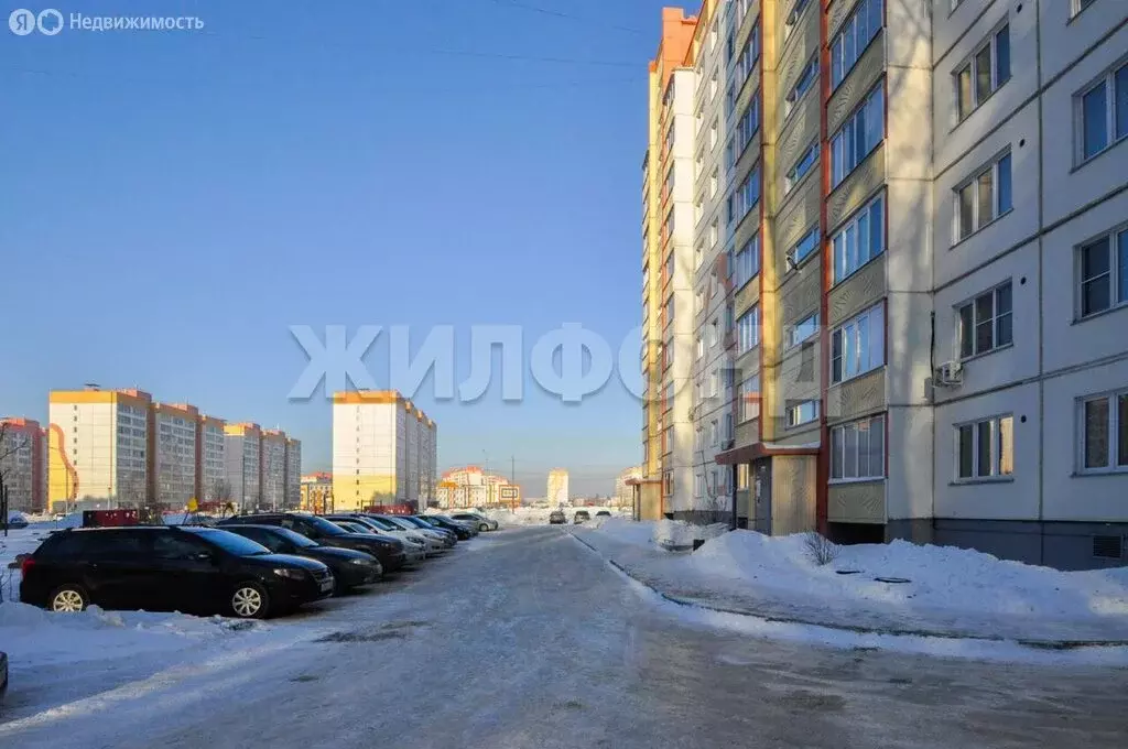 Квартира-студия: Новосибирск, улица Петухова, 168 (27.4 м) - Фото 2