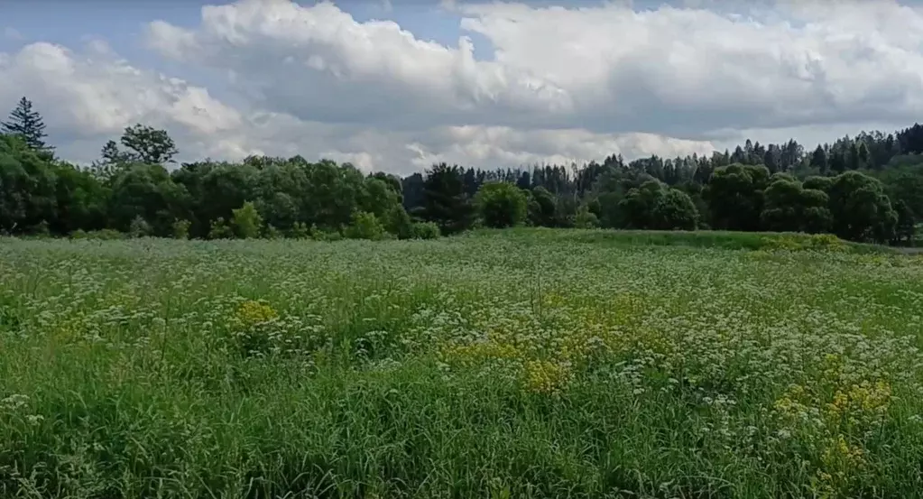 Участок в Московская область, Наро-Фоминский городской округ, д. ... - Фото 0