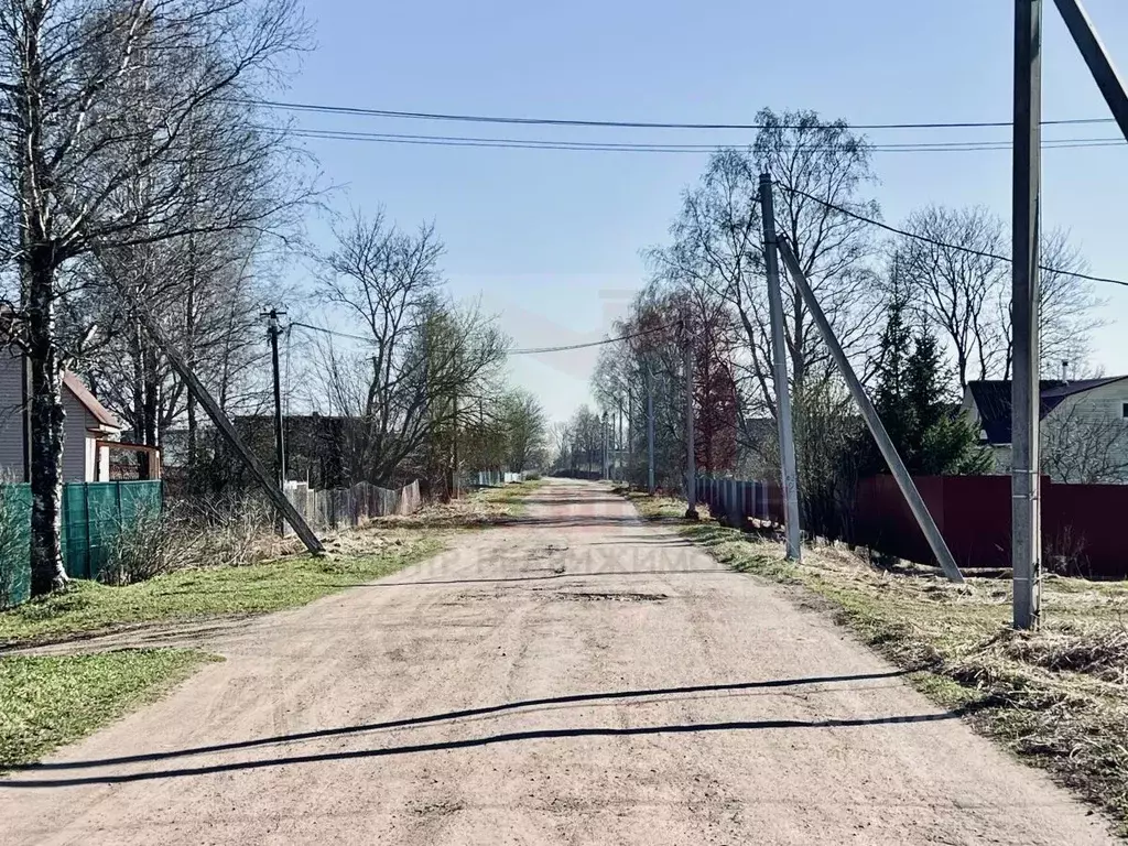 Участок в Ленинградская область, Волосовский район, Клопицкое с/пос, ... - Фото 1