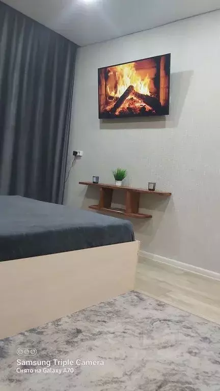 1-к кв. Воронежская область, Россошь ул. Алексеева, 28 (31.0 м) - Фото 1