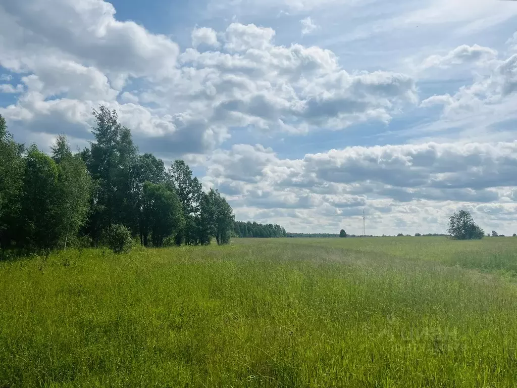 Участок в Московская область, Клин городской округ, д. Тиликтино  ... - Фото 2