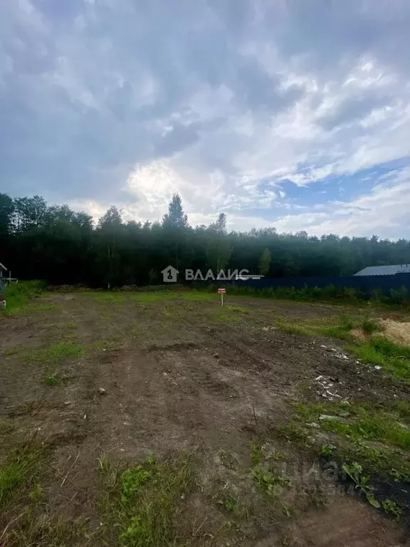 Участок в Ленинградская область, Всеволожский район, Романовское ... - Фото 0