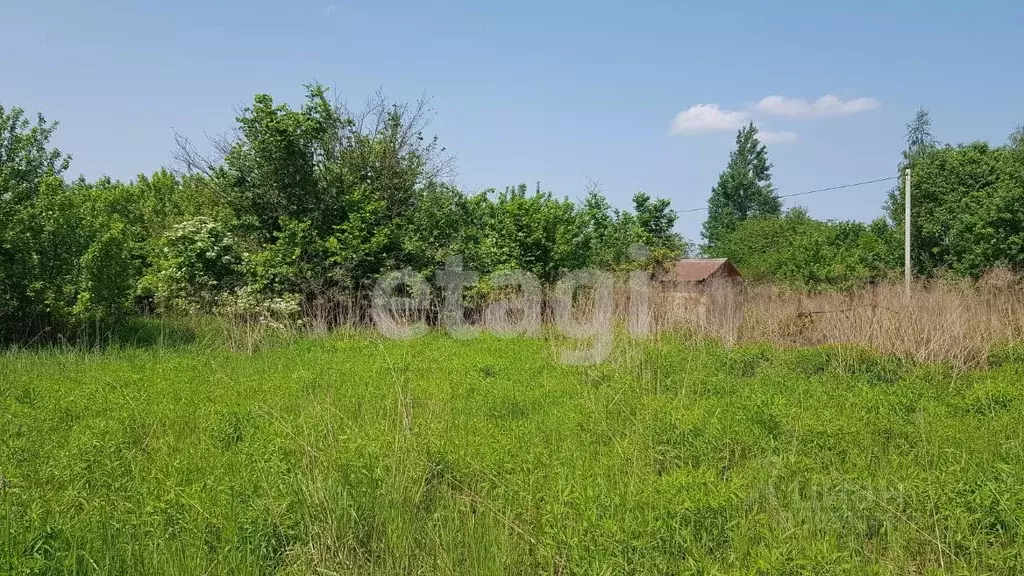 Участок в Брянская область, Брянский район, Снежское с/пос, с. ... - Фото 1