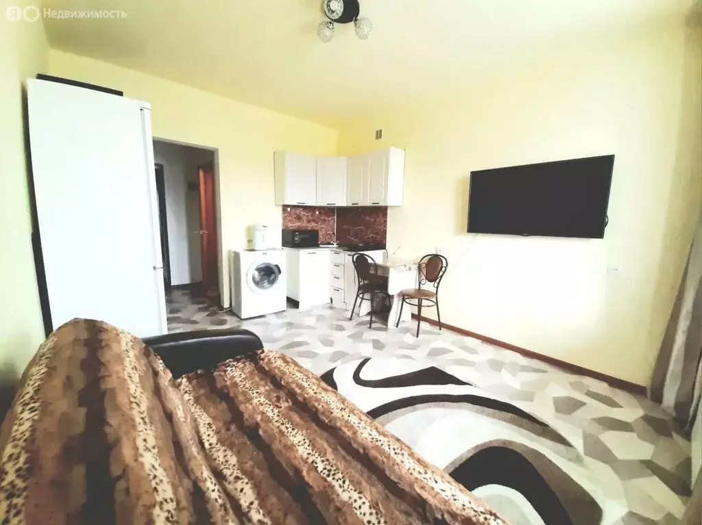 Квартира-студия: село Чигири, Красная улица, 1 (18.6 м) - Фото 2