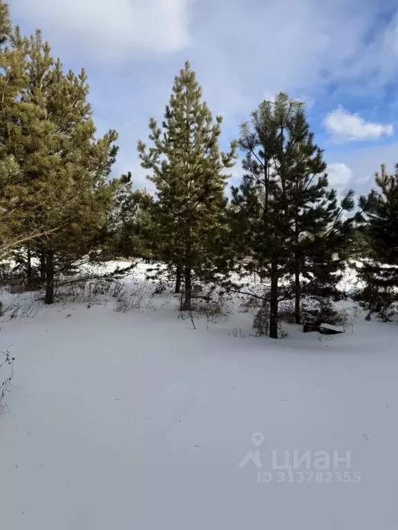 Участок в Челябинская область, Аргаяшский район, Кузнецкое с/пос, с. ... - Фото 0