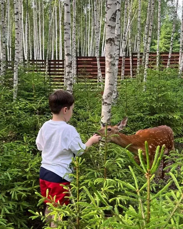 Дом в Московская область, Ступино городской округ, Шелково Форест кп  ... - Фото 1