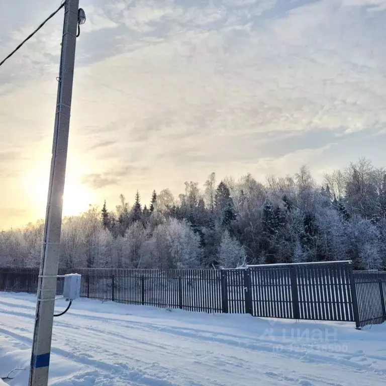 Участок, 6.3 сот., поселения (ижс) - Фото 1