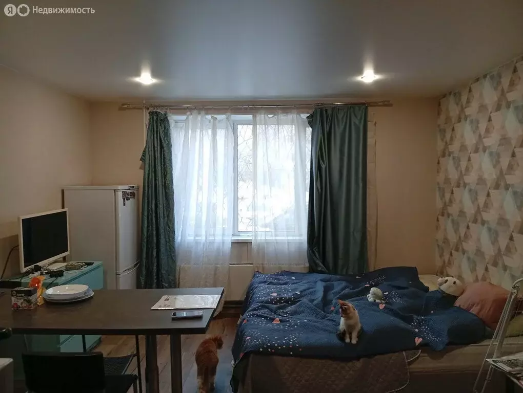 Квартира-студия: Москва, Кусковская улица, 17к1 (94.2 м) - Фото 1