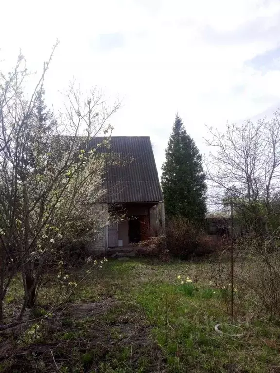 Дом в Белгородская область, Белгородский район, Ериковское с/пос, ... - Фото 0