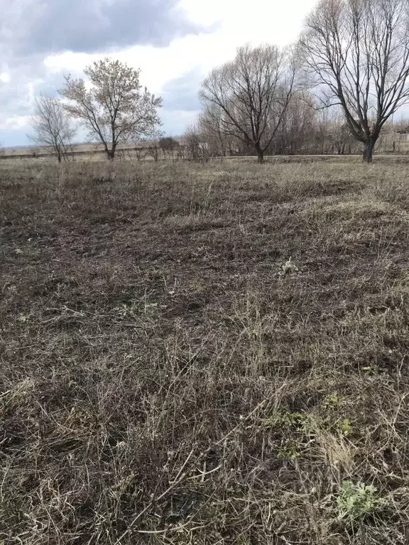 Участок в Ульяновская область, Ульяновский район, Зеленорощинское ... - Фото 1