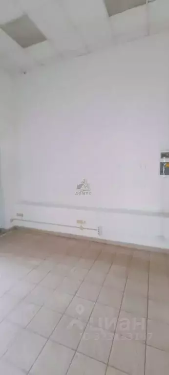 Торговая площадь в Московская область, Раменский муниципальный округ, ... - Фото 2