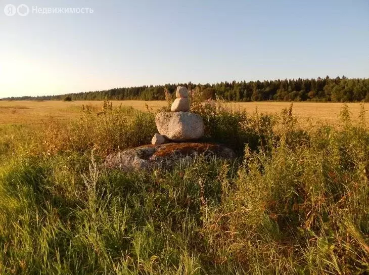 Участок в Волосовский район, Большеврудское сельское поселение (25 м) - Фото 1