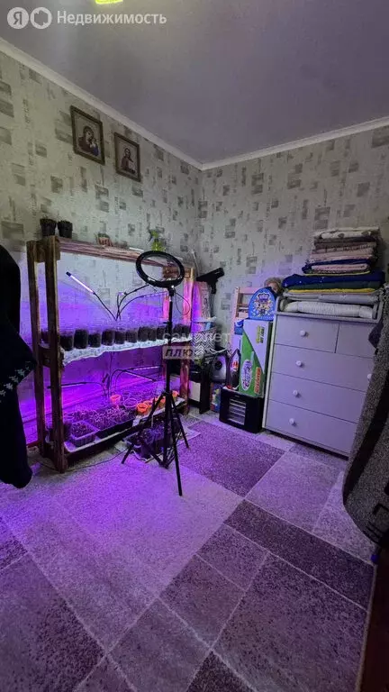 Дом в станица Новокорсунская, Первомайская улица, 98 (38 м) - Фото 2