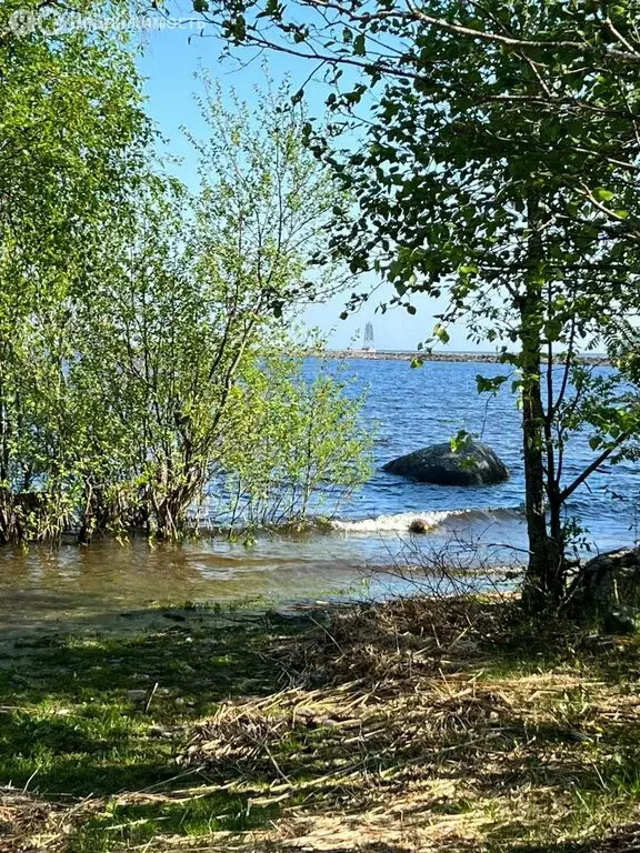 Участок в посёлок Пятиречье, улица Боевой Славы (24 м) - Фото 1
