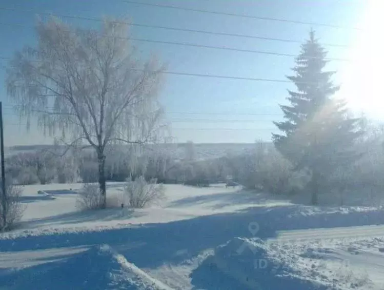 Участок в Рязанская область, Захаровский муниципальный округ, с. ... - Фото 2