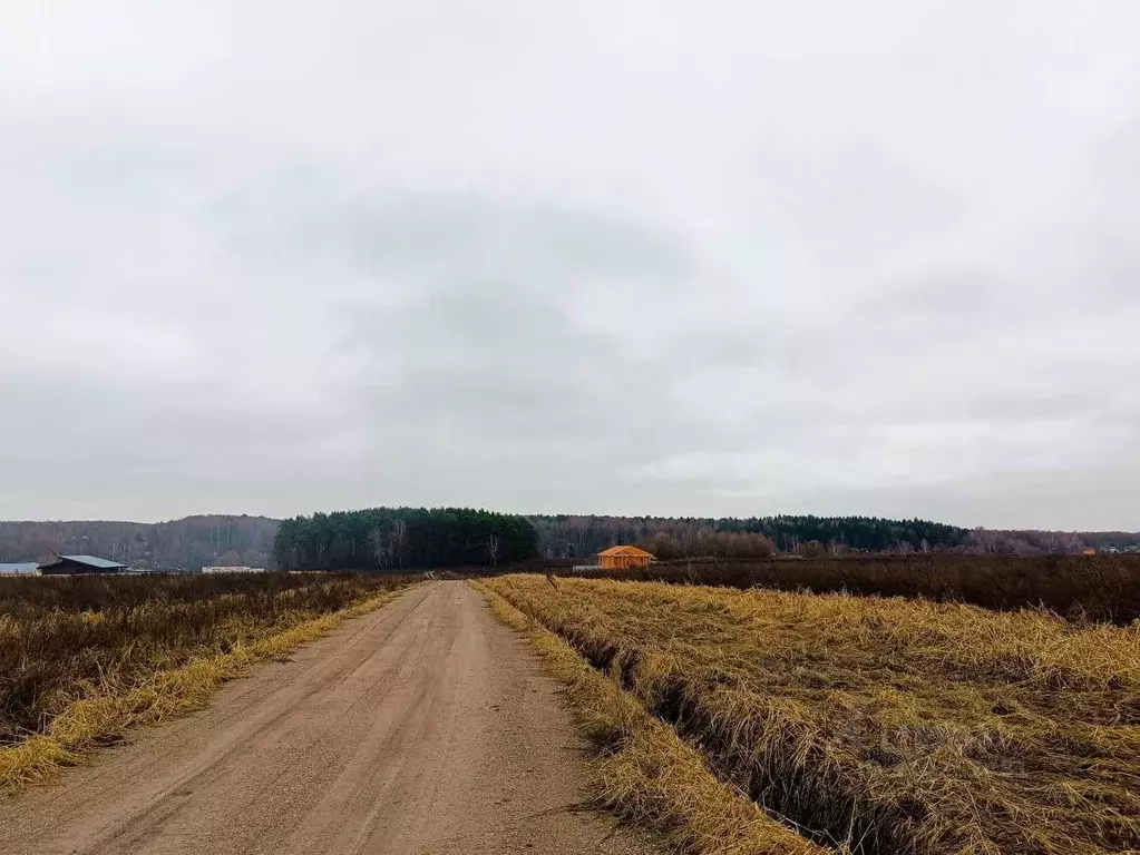 Участок в Московская область, Домодедово городской округ, с. ... - Фото 0