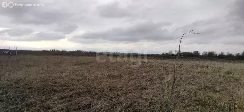 Участок в Вологодская область, Сокольский муниципальный округ, деревня ... - Фото 1
