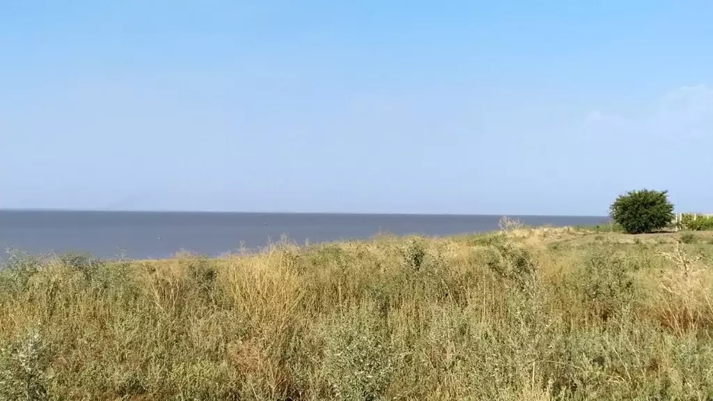 Участок в Краснодарский край, Щербиновский район, с. Николаевка ул. ... - Фото 2