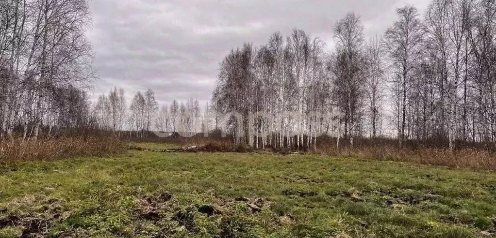 Участок в Тюменская область, Нижнетавдинский район, пос. Торгили  ... - Фото 0