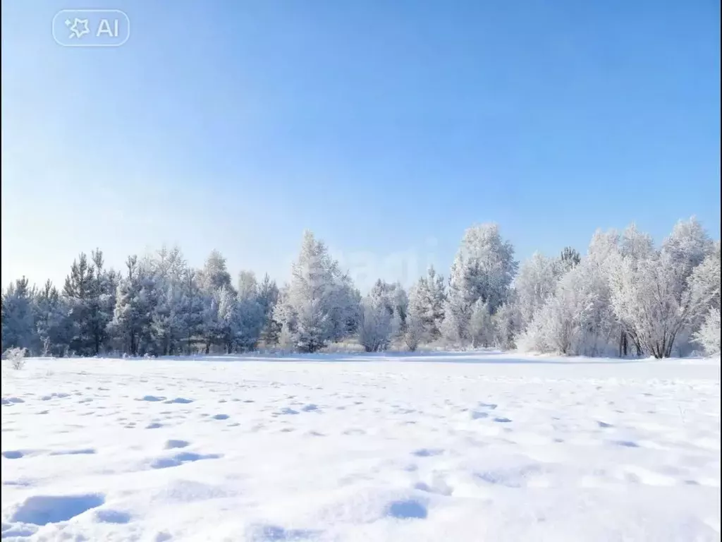 Участок в Свердловская область, Нижний Тагил муниципальный округ, с. ... - Фото 2