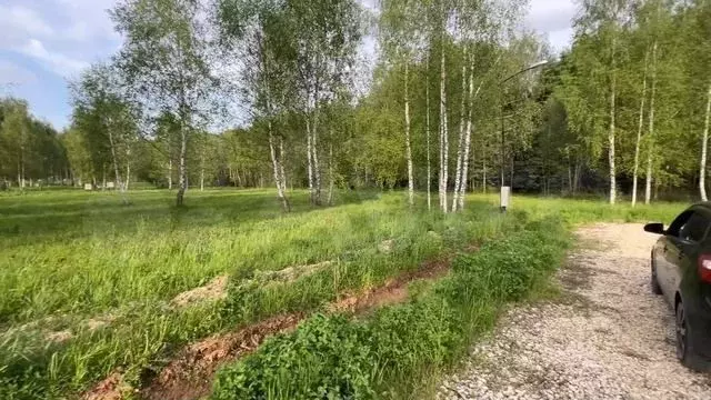 Участок 11 сот. (СНТ, ДНП) - Фото 1