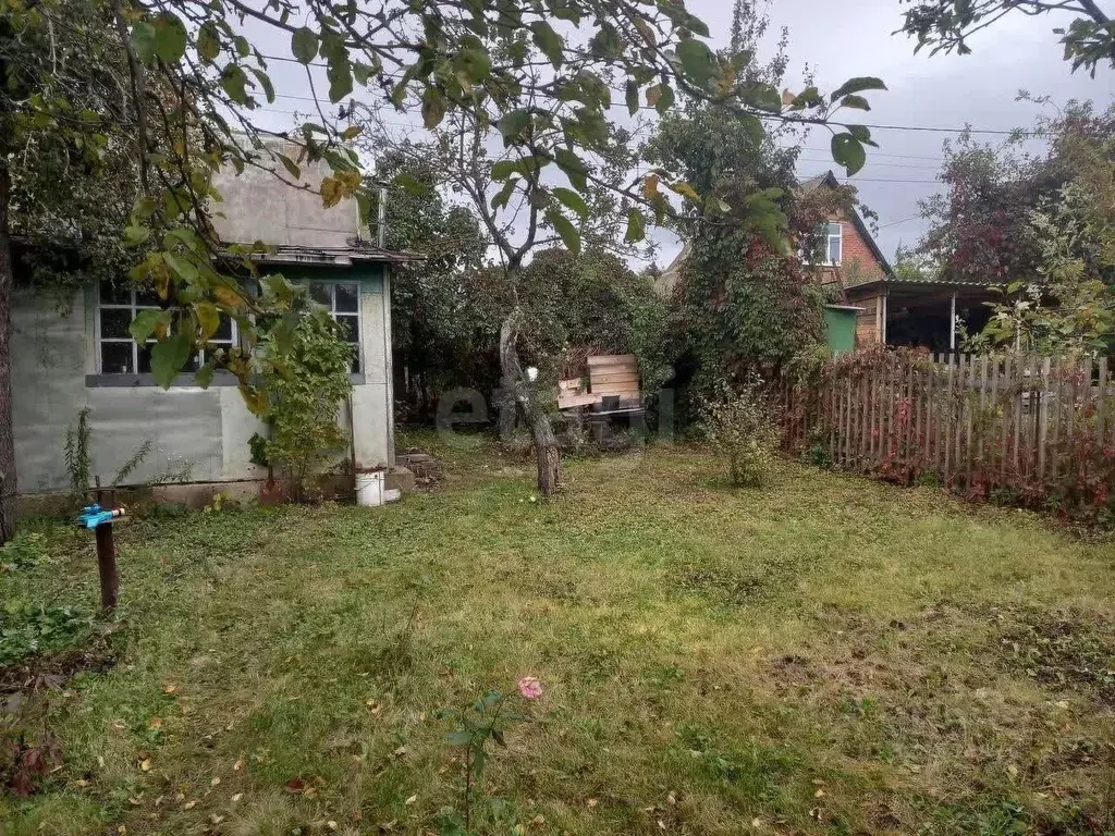 Участок в Воронежская область, Воронеж Строитель МВО СНТ, ул. Тихая ... - Фото 1