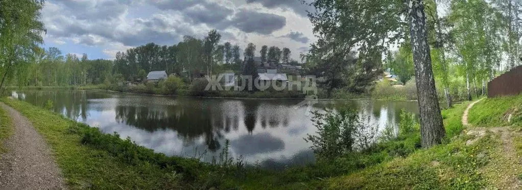 Дом в Новосибирская область, Новосибирский район, Раздольненский ... - Фото 1