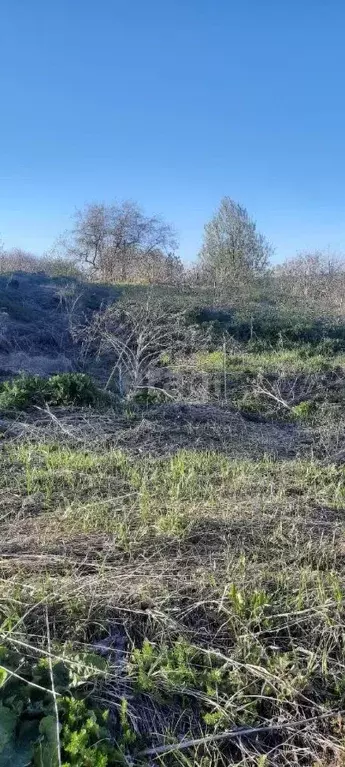 Участок в Свердловская область, Первоуральск городской округ, д. ... - Фото 1