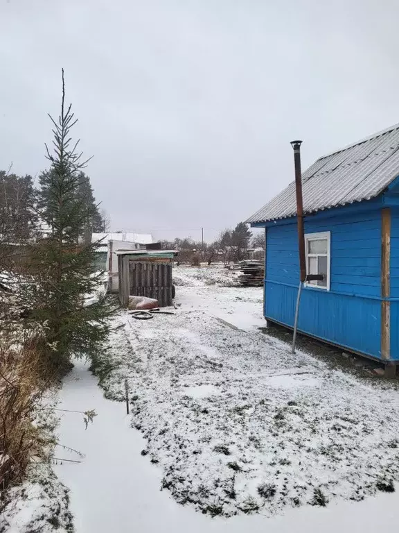 Дом в Новгородская область, Старорусский район, Новосельское с/пос, ... - Фото 1