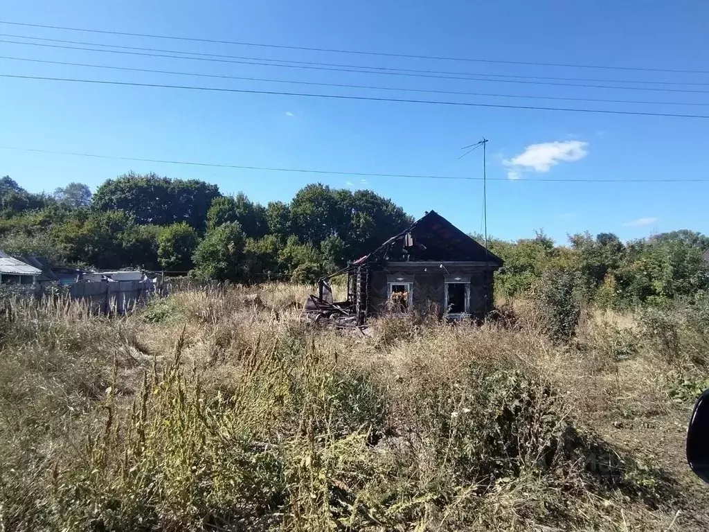 Дом в Пензенская область, Бессоновский район, с. Грабово  (40 м) - Фото 0