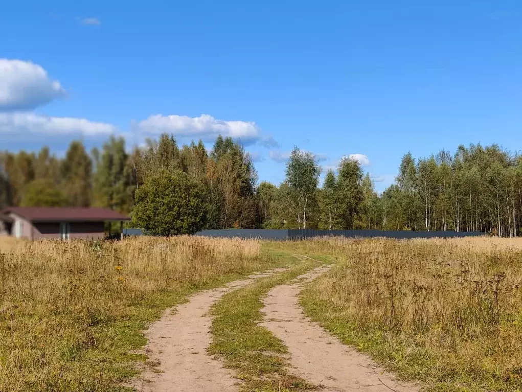 Участок в Тверская область, Конаковский муниципальный округ, д. ... - Фото 2