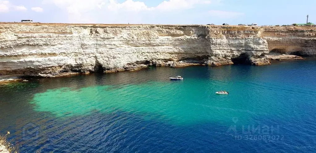 Участок в Крым, Черноморский район, Оленевское с/пос, с. Оленевка  ... - Фото 2