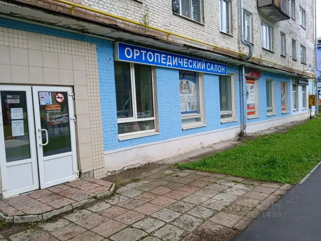 Помещение свободного назначения в Архангельская область, Мирный ул. ... - Фото 1