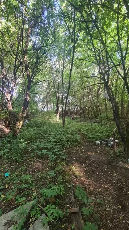 Участок в Москва пос. Речник,  (12.0 сот.) - Фото 1