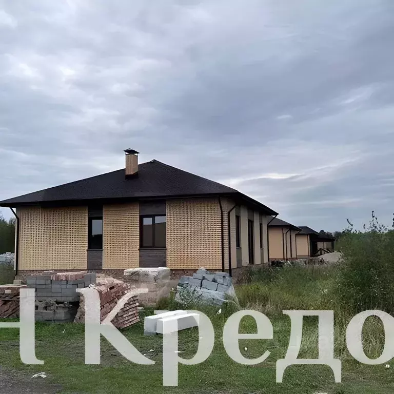 Дом в Омская область, Омский район муниципальный округ, с. Пушкино ул. ... - Фото 2