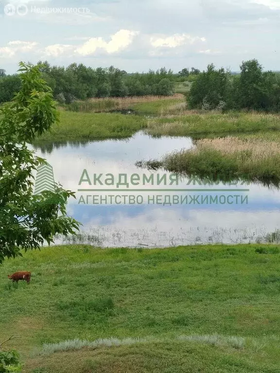Дом в Бобровка, Набережная улица (46 м) - Фото 1
