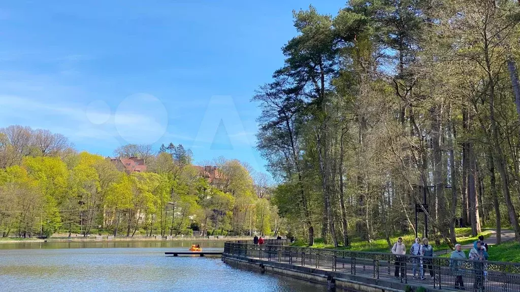 Квартира-студия, 23,9 м, 6/6 эт. - Фото 1