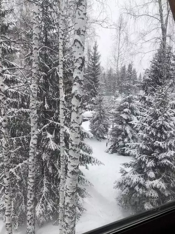 Дом в Новосибирская область, Новосибирский район, Барышевский ... - Фото 1