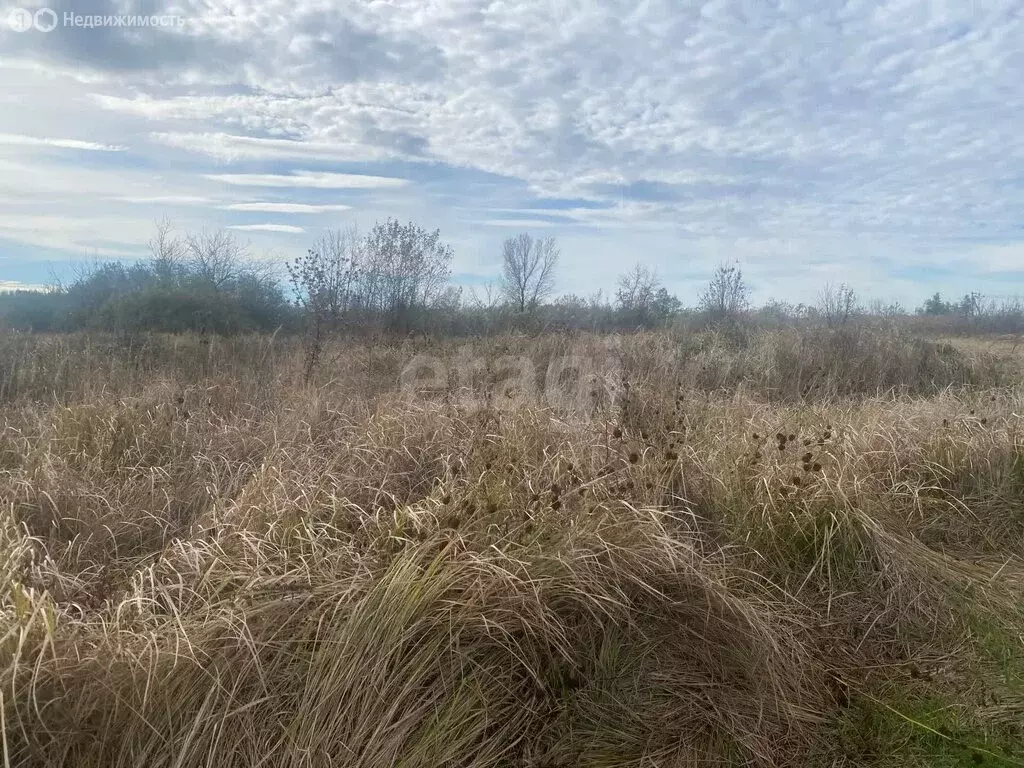 Участок в Энем, улица имени Анатолия Михайловича Черник (610 м) - Фото 2