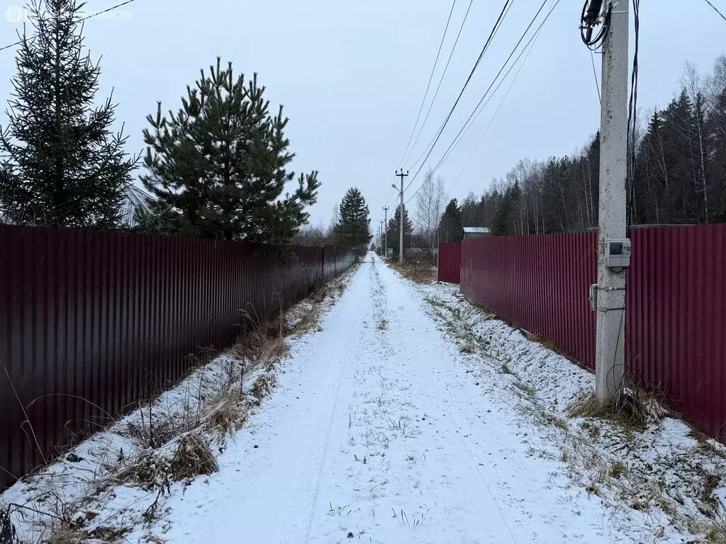 Участок в Владимирская область, Александровский муниципальный округ, ... - Фото 1