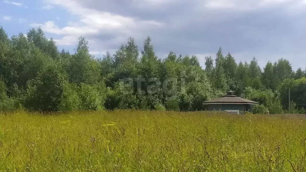 Участок в Вологодская область, Вологда Разлив садоводческое ... - Фото 2
