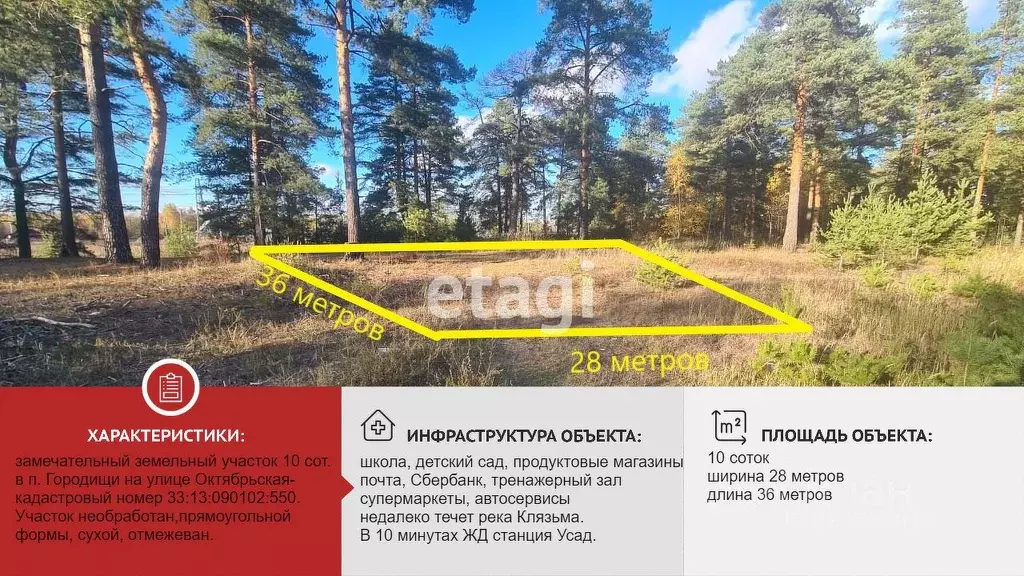 Участок в Владимирская область, Петушинский район, Городищи ... - Фото 1