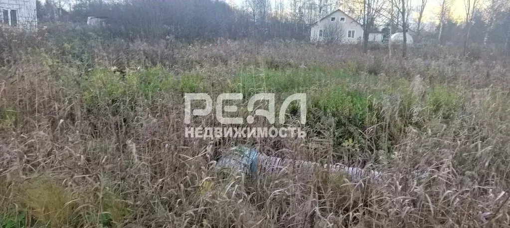 Участок в Ленинградская область, Гатчинский муниципальный округ, пос. ... - Фото 1