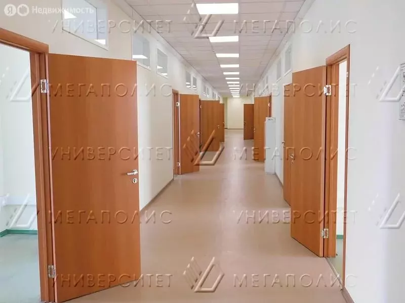 Офис (855 м) - Фото 1