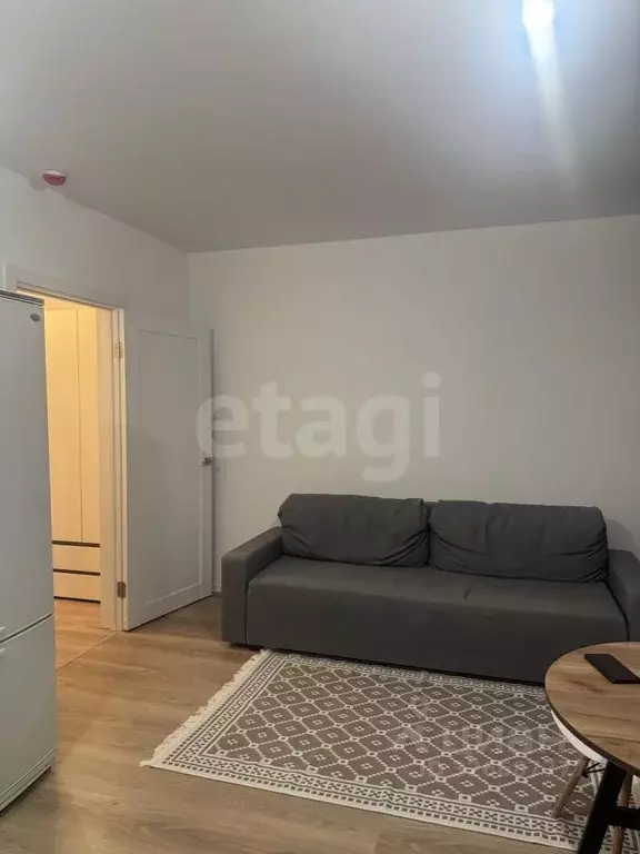 Студия Ленинградская область, Всеволожское городское поселение, пос. ... - Фото 2