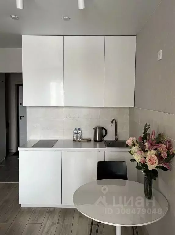 1-к кв. Владимирская область, Владимир ул. Лакина, 2А (23.0 м) - Фото 1