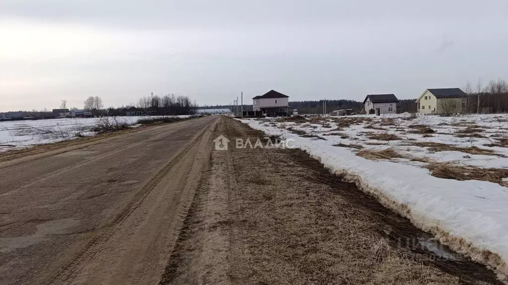 Участок в Владимирская область, Владимир д. Шепелево, ул. Придорожная ... - Фото 2