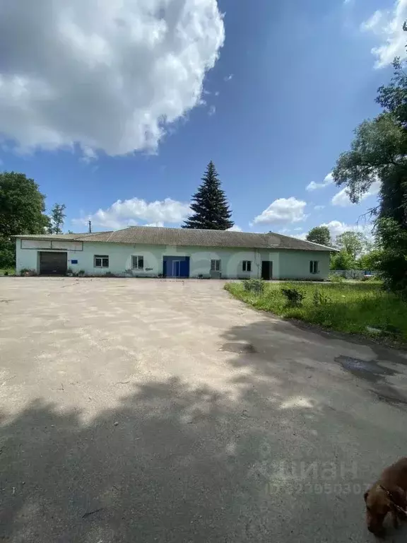 Склад в Тульская область, Кимовск Железнодорожный проезд, 12с1 (546 м) - Фото 1